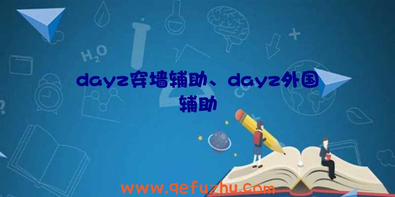 dayz穿墙辅助、dayz外国辅助
