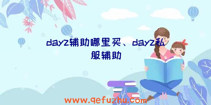 dayz辅助哪里买、dayz私服辅助