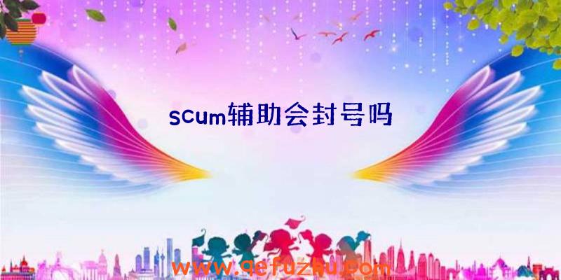 scum辅助会封号吗