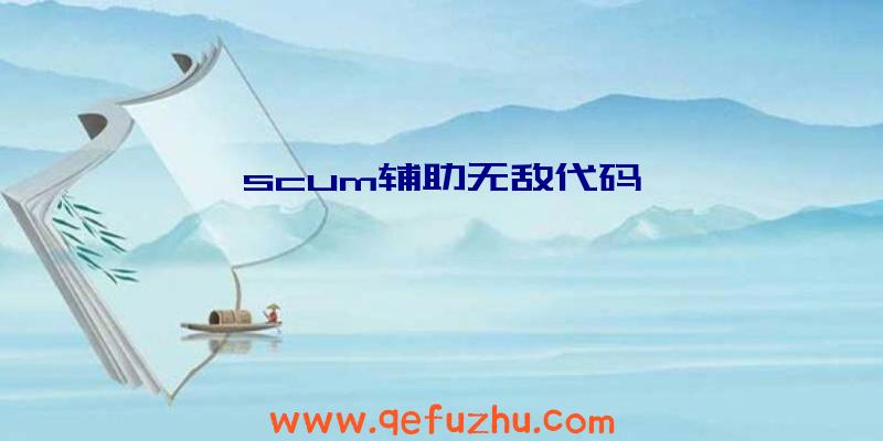 scum辅助无敌代码