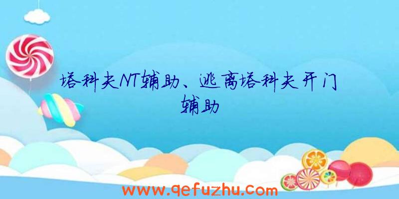 塔科夫NT辅助、逃离塔科夫开门辅助