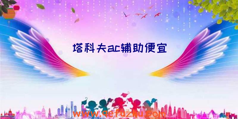 塔科夫ac辅助便宜