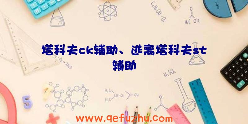 塔科夫ck辅助、逃离塔科夫st辅助