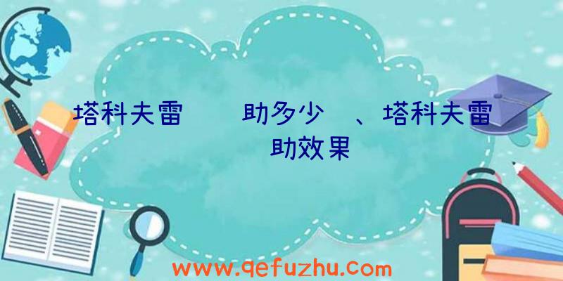 塔科夫雷达辅助多少钱、塔科夫雷达辅助效果