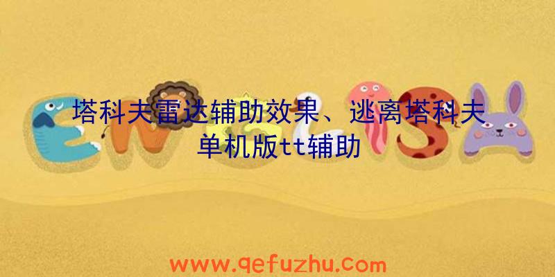 塔科夫雷达辅助效果、逃离塔科夫单机版tt辅助