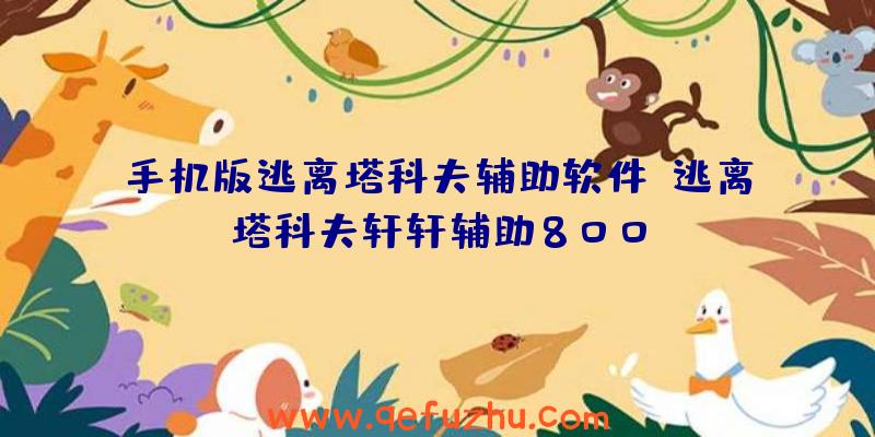手机版逃离塔科夫辅助软件、逃离塔科夫轩轩辅助800