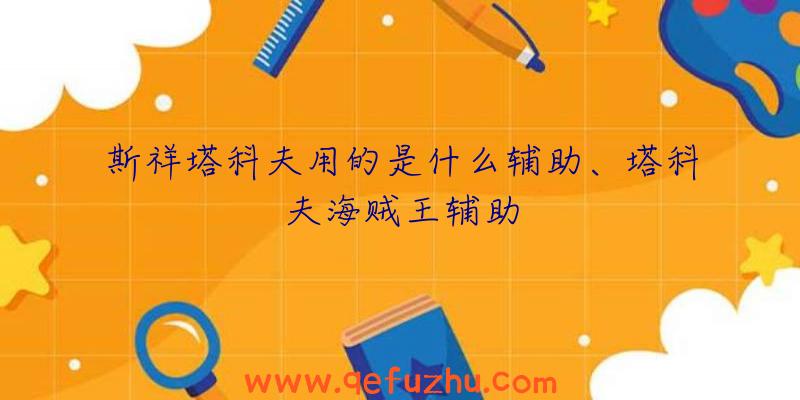 斯祥塔科夫用的是什么辅助、塔科夫海贼王辅助
