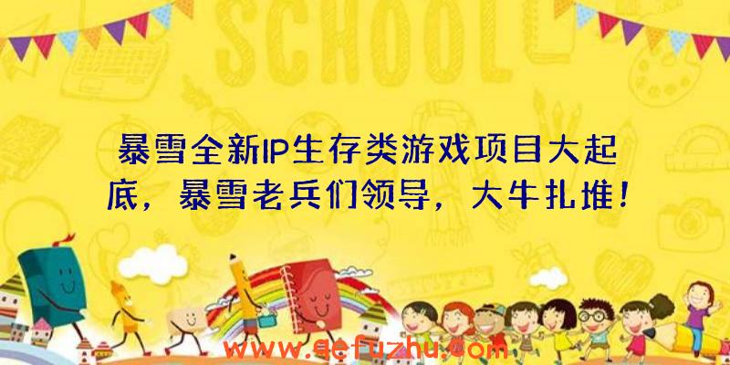 暴雪全新IP生存类游戏项目大起底，暴雪老兵们领导，大牛扎堆！（暴雪开发新游戏）