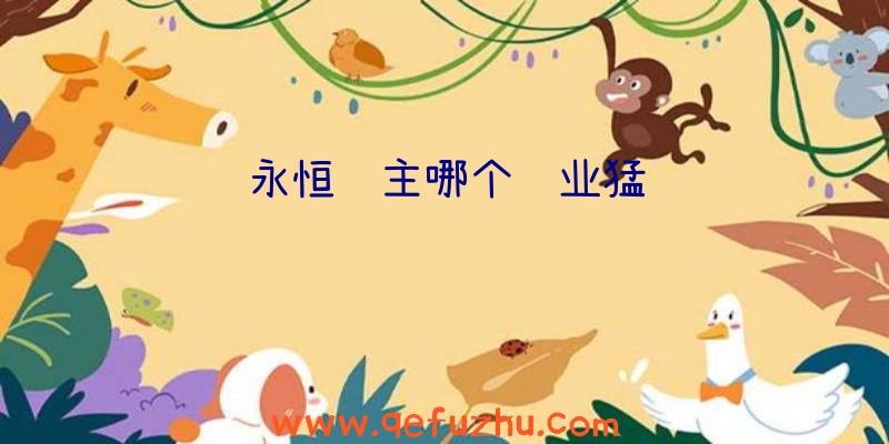 永恒领主哪个职业猛