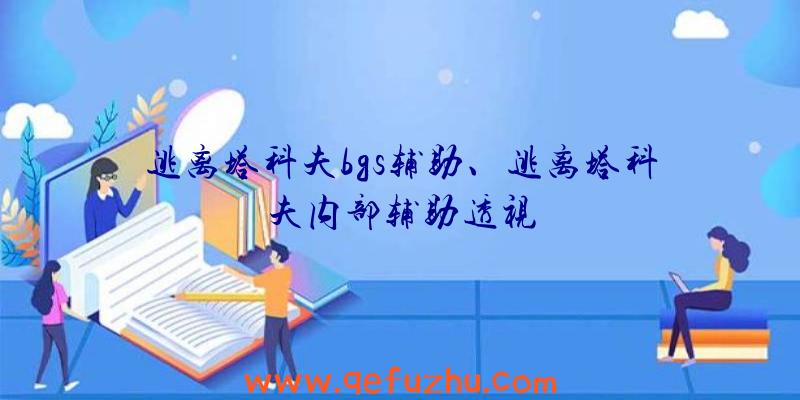 逃离塔科夫bgs辅助、逃离塔科夫内部辅助透视