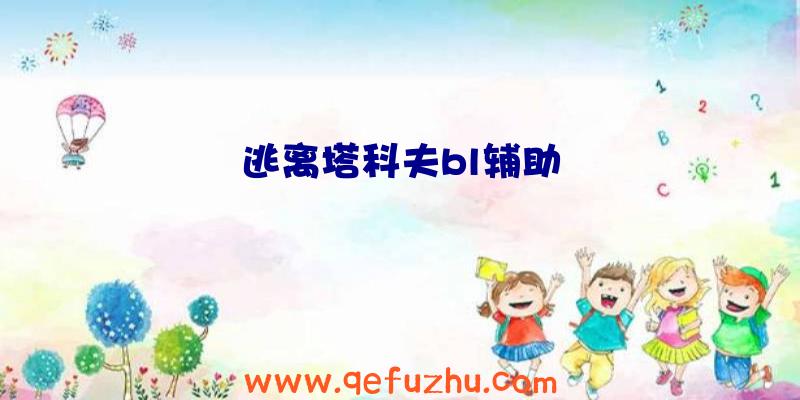 逃离塔科夫bl辅助