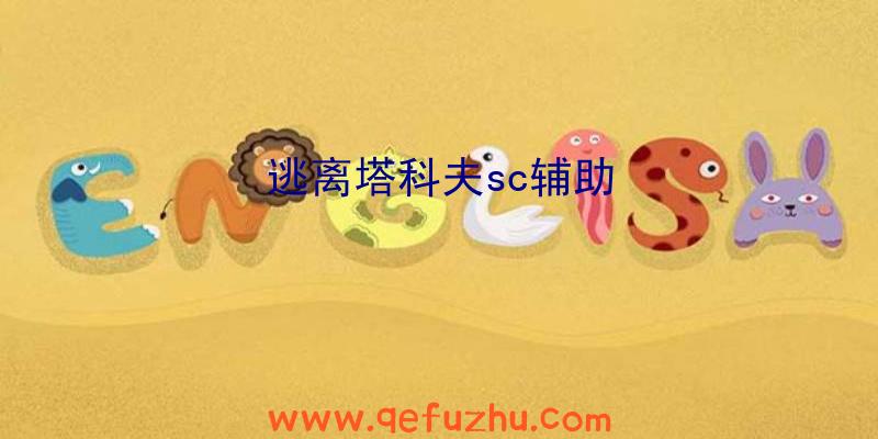 逃离塔科夫sc辅助