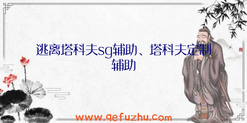 逃离塔科夫sg辅助、塔科夫定制辅助