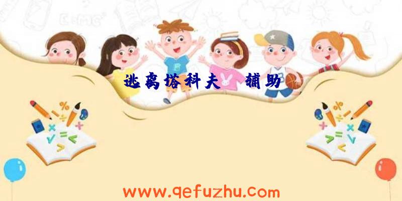 逃离塔科夫st辅助