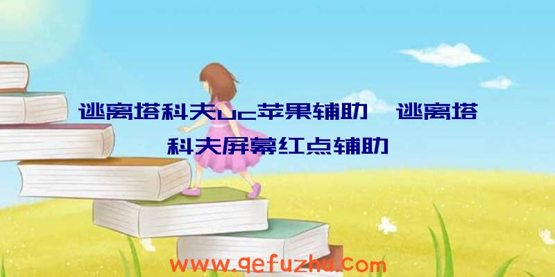 逃离塔科夫uc苹果辅助、逃离塔科夫屏幕红点辅助