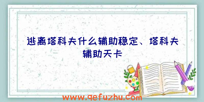 逃离塔科夫什么辅助稳定、塔科夫辅助天卡
