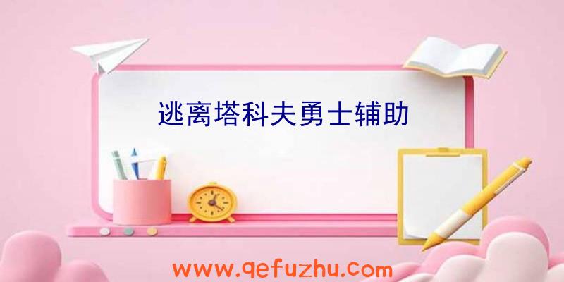 逃离塔科夫勇士辅助