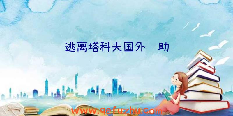 逃离塔科夫国外辅助
