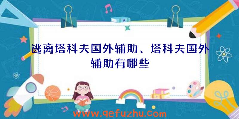 逃离塔科夫国外辅助、塔科夫国外辅助有哪些