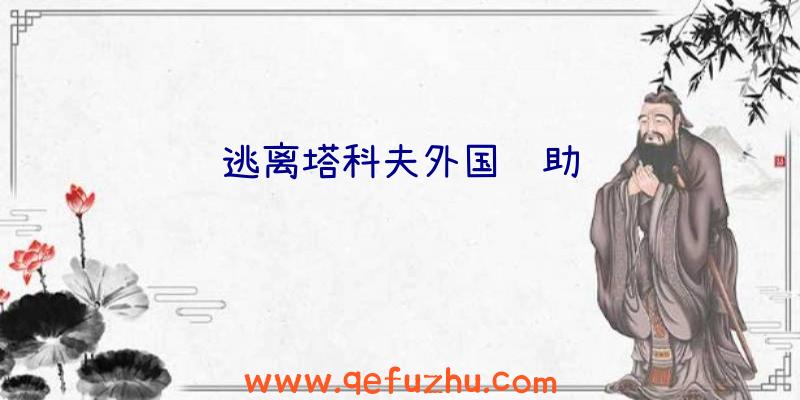 逃离塔科夫外国辅助