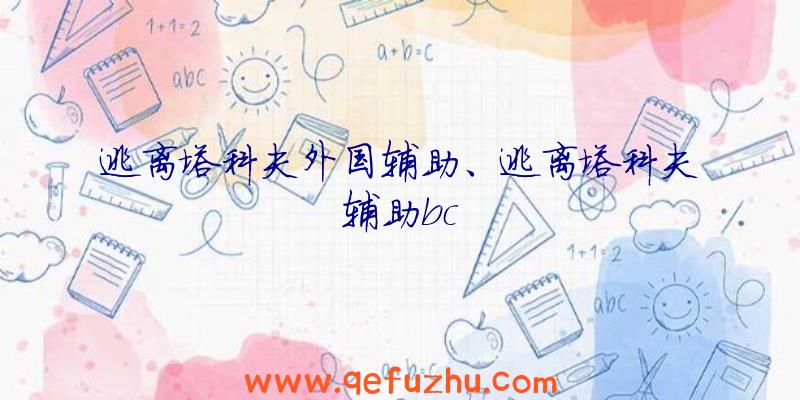 逃离塔科夫外国辅助、逃离塔科夫辅助bc