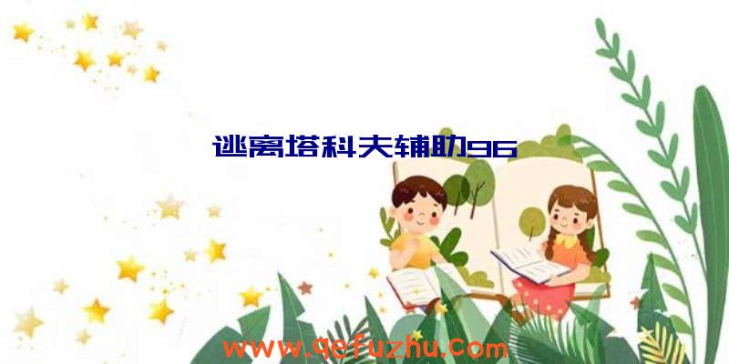 逃离塔科夫辅助96