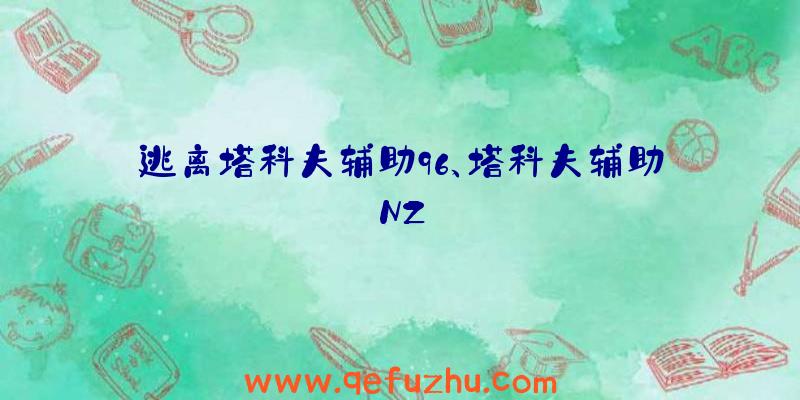 逃离塔科夫辅助96、塔科夫辅助NZ