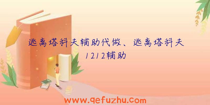 逃离塔科夫辅助代做、逃离塔科夫1212辅助