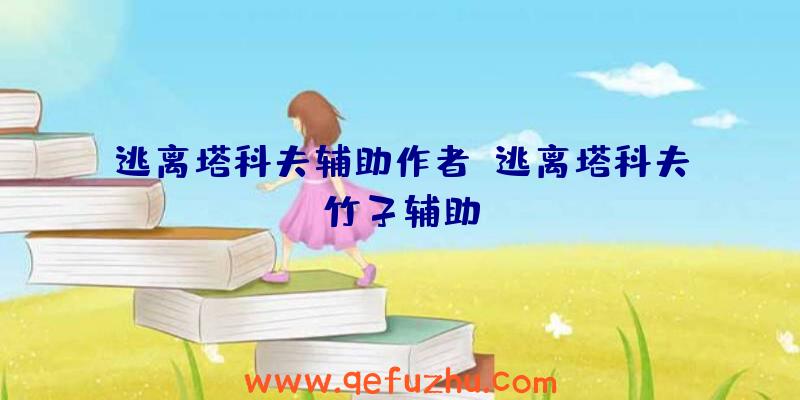 逃离塔科夫辅助作者、逃离塔科夫竹子辅助