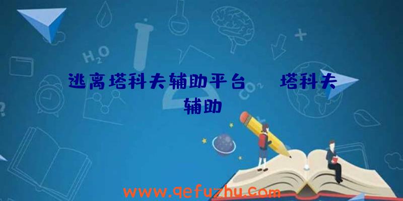 逃离塔科夫辅助平台、WR塔科夫辅助