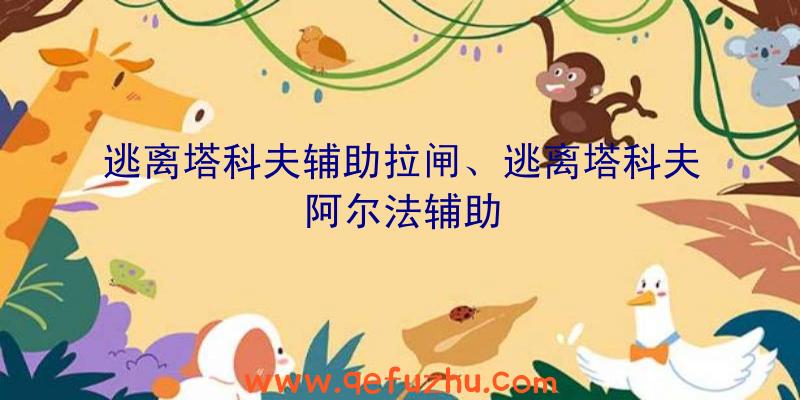 逃离塔科夫辅助拉闸、逃离塔科夫阿尔法辅助