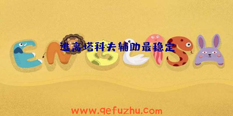 逃离塔科夫辅助最稳定