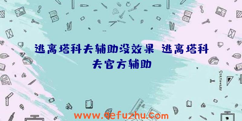 逃离塔科夫辅助没效果、逃离塔科夫官方辅助