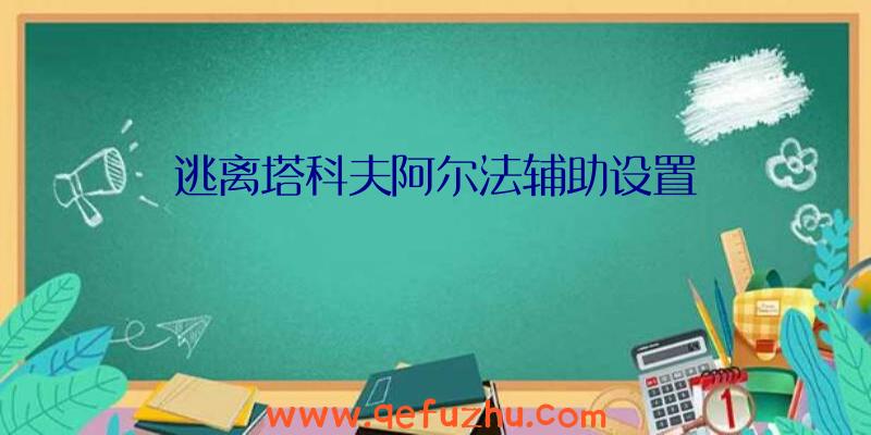 逃离塔科夫阿尔法辅助设置
