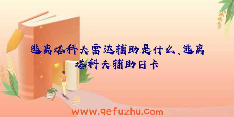 逃离塔科夫雷达辅助是什么、逃离塔科夫辅助日卡