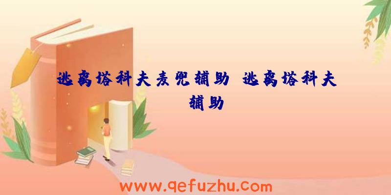 逃离塔科夫麦兜辅助、逃离塔科夫kd辅助