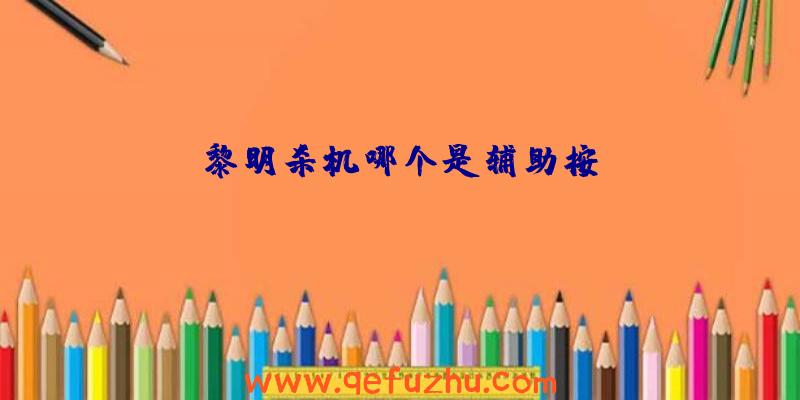 黎明杀机哪个是辅助按键