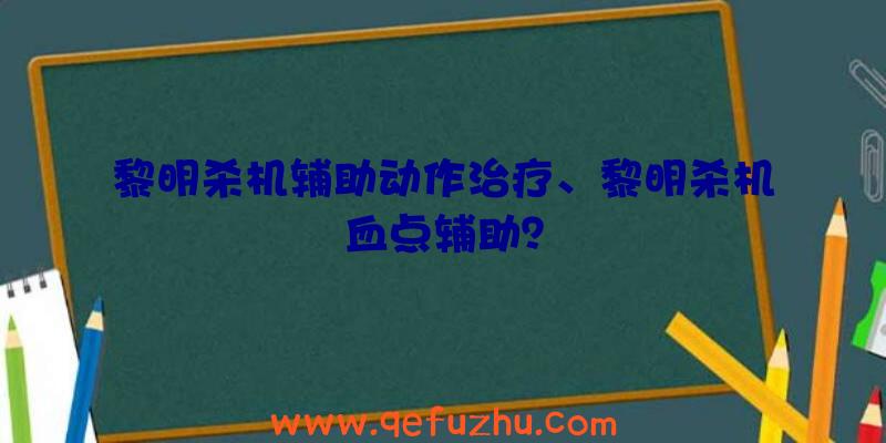 黎明杀机辅助动作治疗、黎明杀机血点辅助？