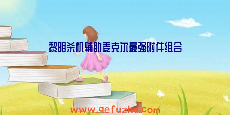 黎明杀机辅助麦克尔最强附件组合